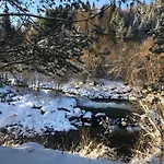 Riverside דירה *